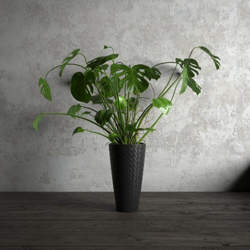 plant 22 AM173 Archmodels