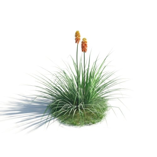 plant 39 AM183 Archmodels