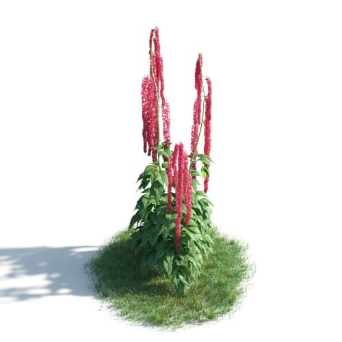 plant 44 AM183 Archmodels