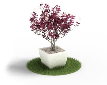 Plant 61 AM4 for Cinema4D Archmodels