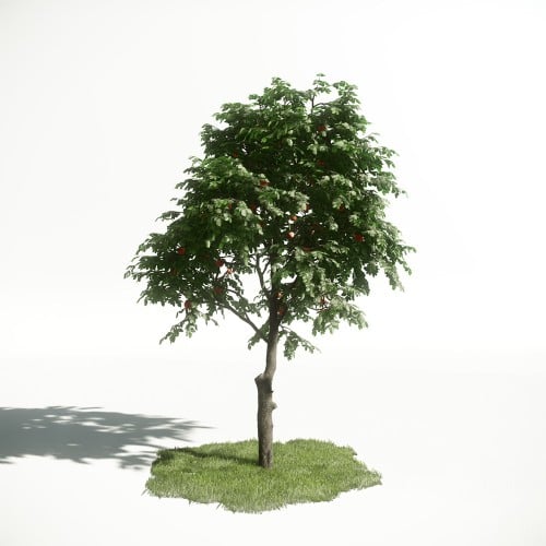 Tree 9 AM1 for CryEngine Archmodels