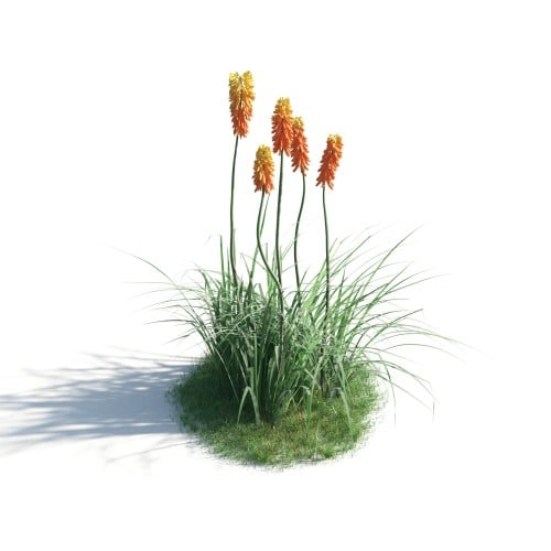 plant 38 AM183 Archmodels