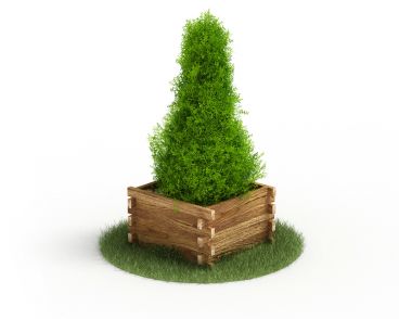 Plant 44 AM4 for Cinema4D Archmodels
