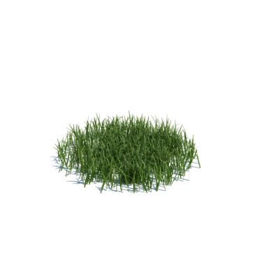 simple grass medium 104 AM124 Archmodels