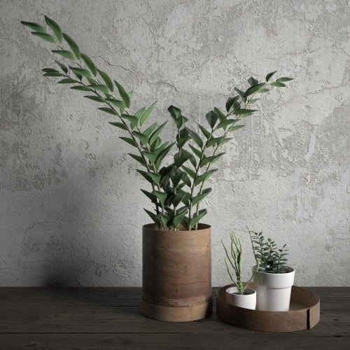 plant 33 AM173 Archmodels