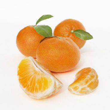 oranges 10 AM130 Archmodels