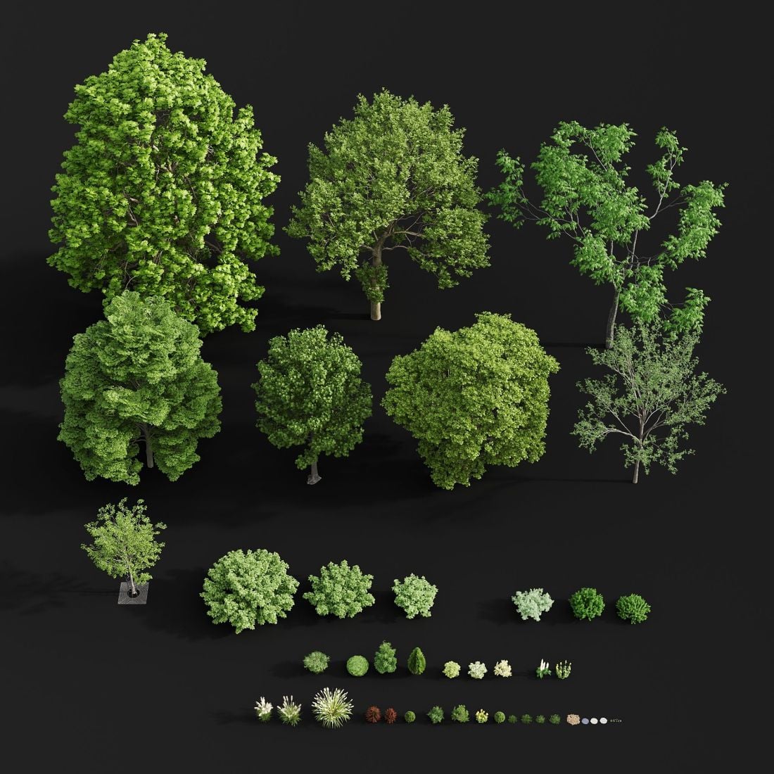AE46_render_004