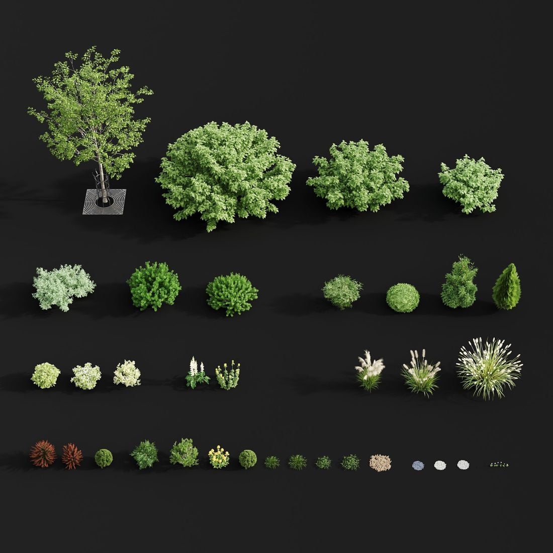 AE46_render_005