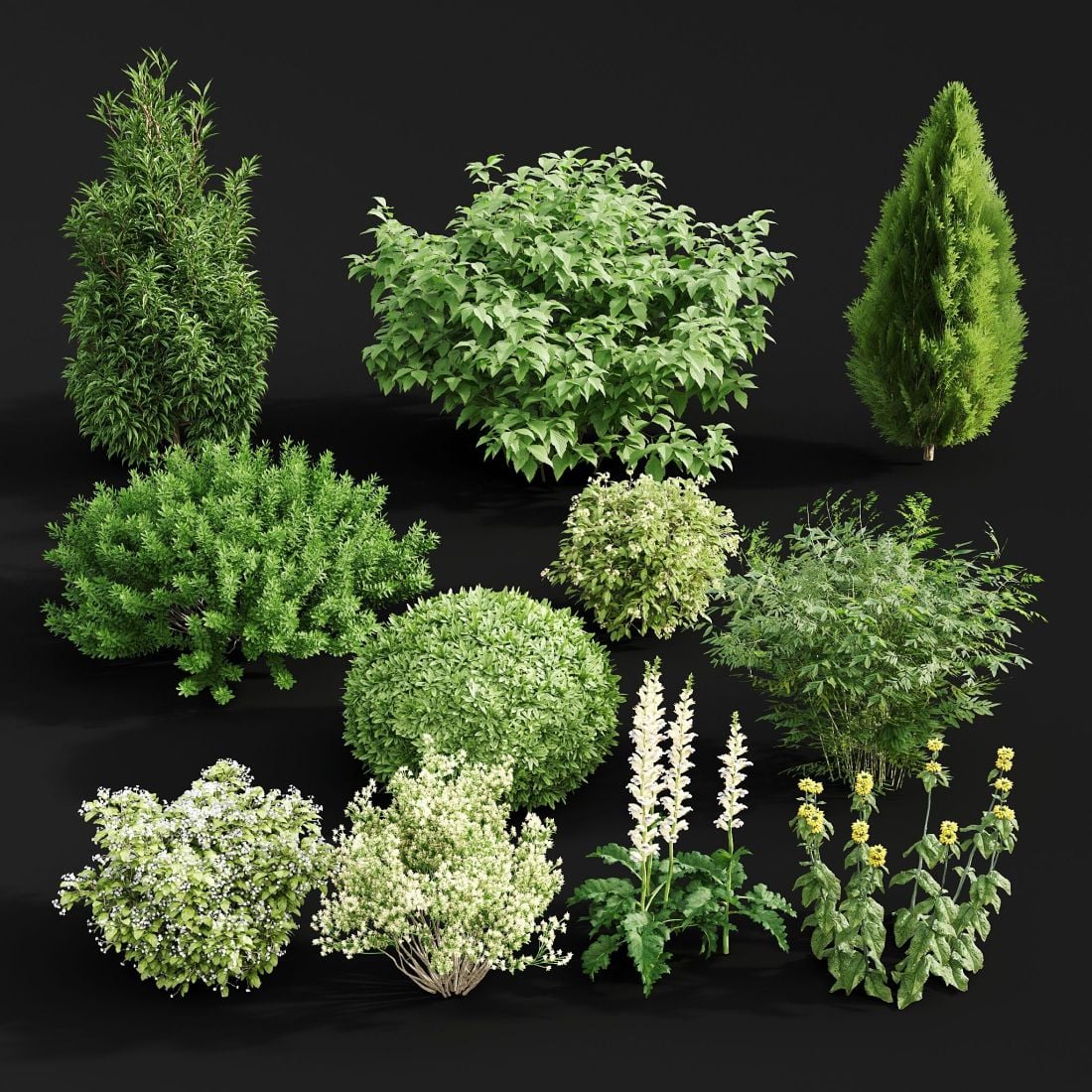 AE46_render_016