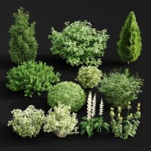AE46_render_016