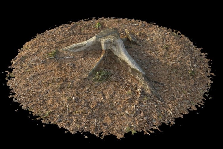forest element 1 AM191 Archmodels