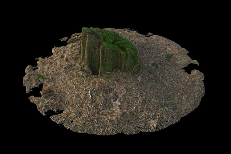 forest element 2 AM191 Archmodels