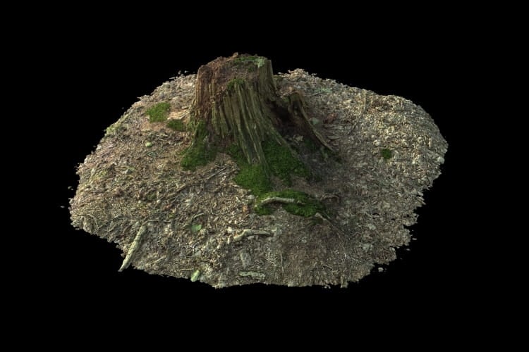 forest element 7 AM191 Archmodels