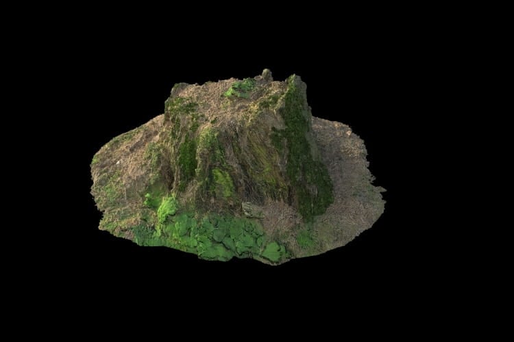 forest element 10 AM191 Archmodels