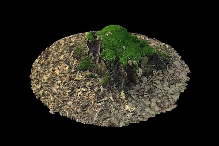 forest element 13 AM191 Archmodels