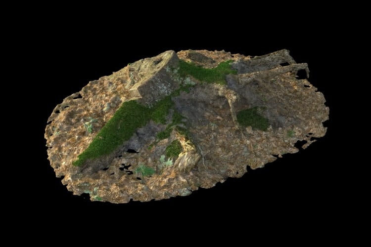 forest element 14 AM191 Archmodels