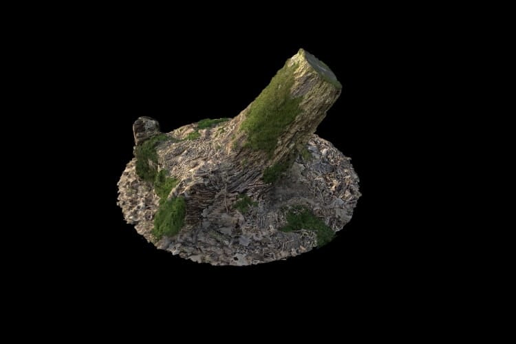 forest element 16 AM191 Archmodels