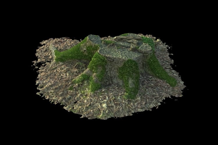 forest element 17 AM191 Archmodels