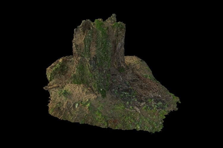 forest element 20 AM191 Archmodels
