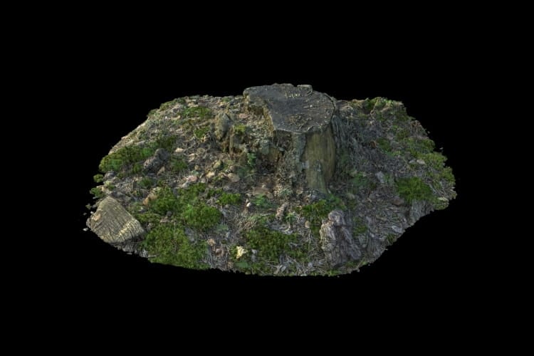 forest element 22 AM191 Archmodels