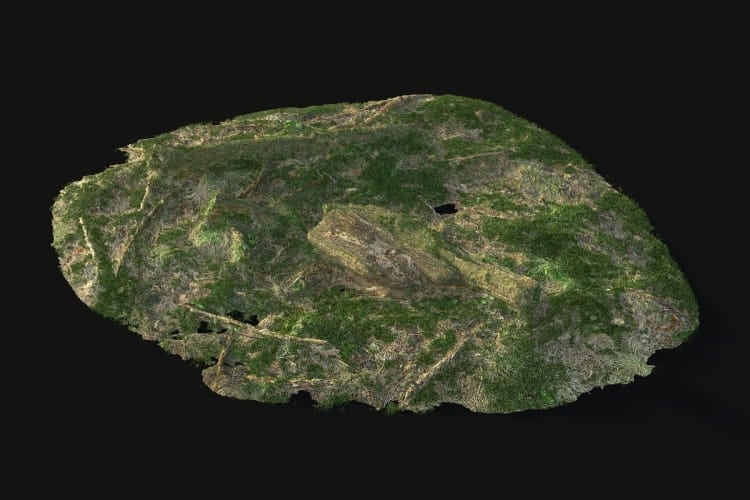 forest element 23 AM191 Archmodels