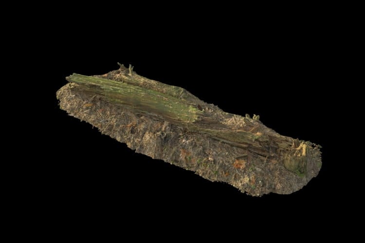 forest element 26 AM191 Archmodels