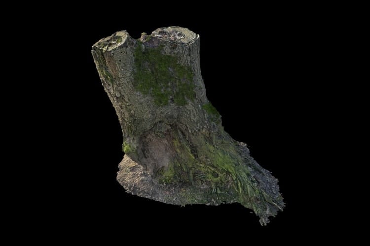 forest element 28 AM191 Archmodels