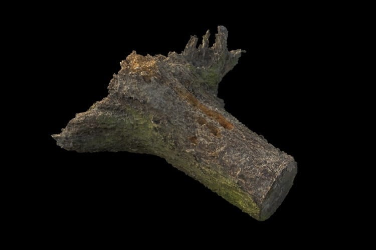 forest element 29 AM191 Archmodels