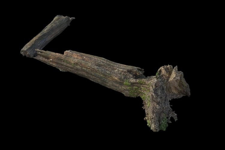 forest element 31 AM191 Archmodels