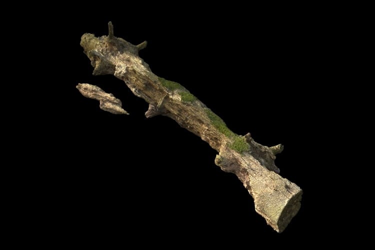 forest element 32 AM191 Archmodels