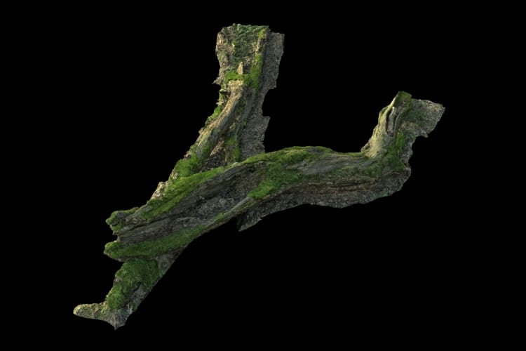 forest element 33 AM191 Archmodels
