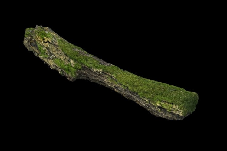 forest element 34 AM191 Archmodels