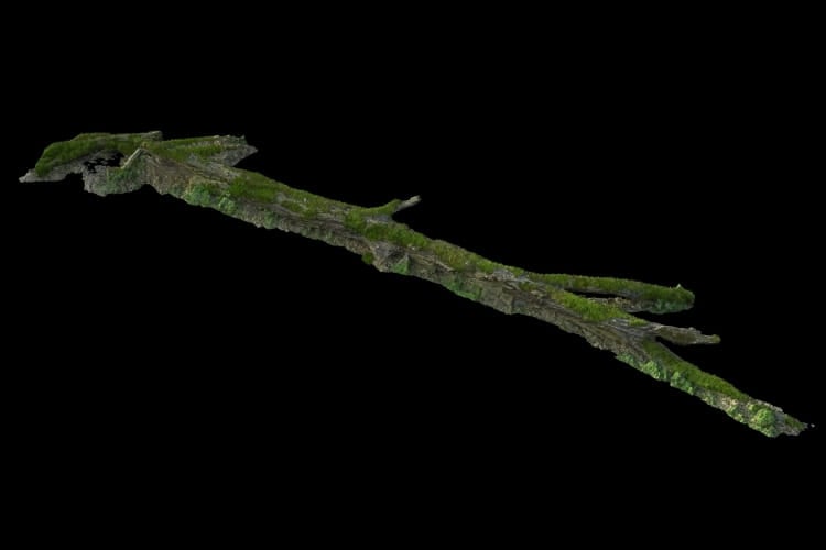 forest element 35 AM191 Archmodels