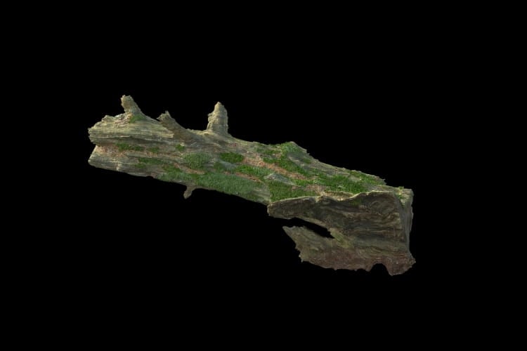 forest element 36 AM191 Archmodels