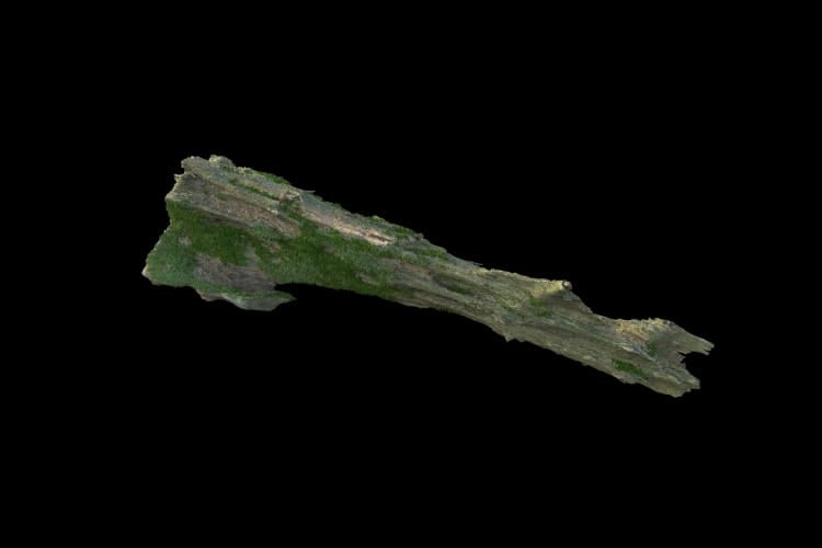 forest element 39 AM191 Archmodels