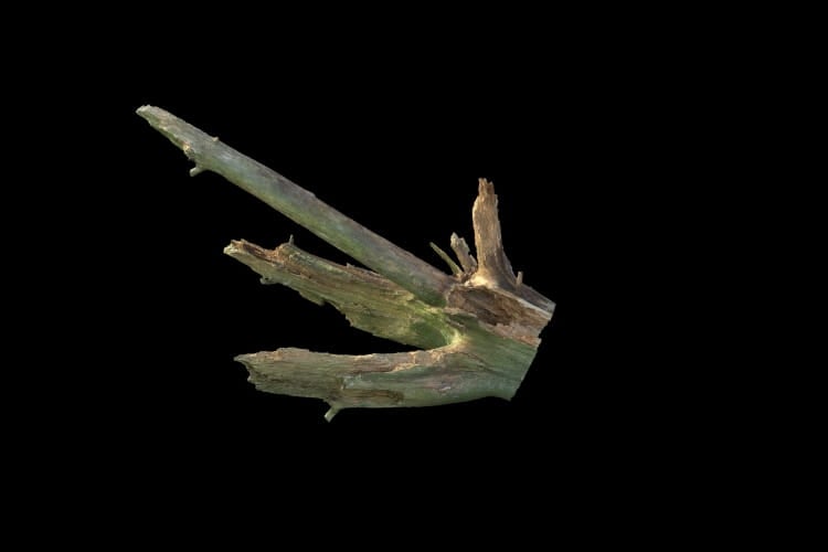 forest element 40 AM191 Archmodels