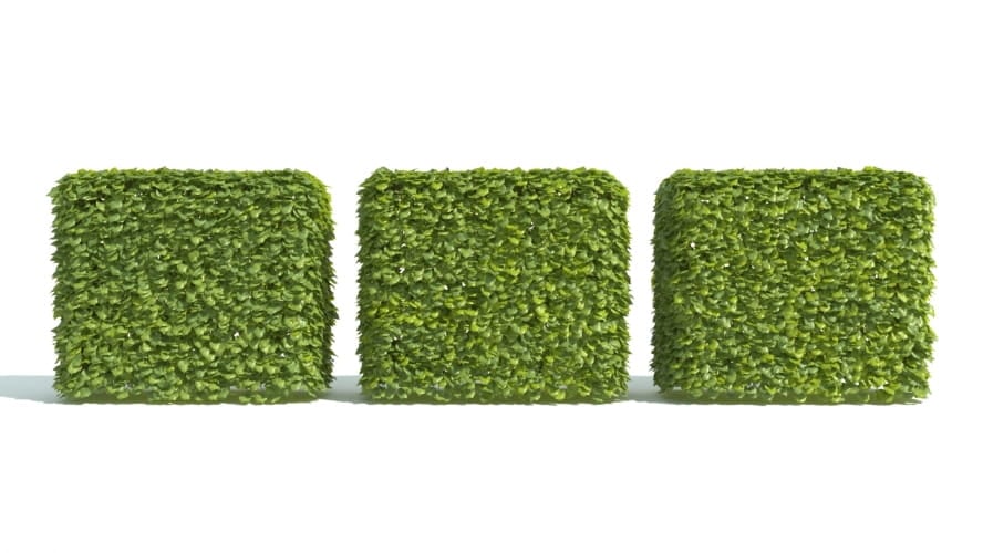 hedge 1 AM192 Archmodels
