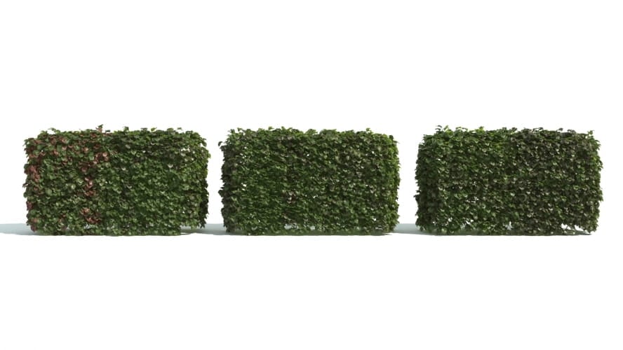 hedge 9 AM192 Archmodels