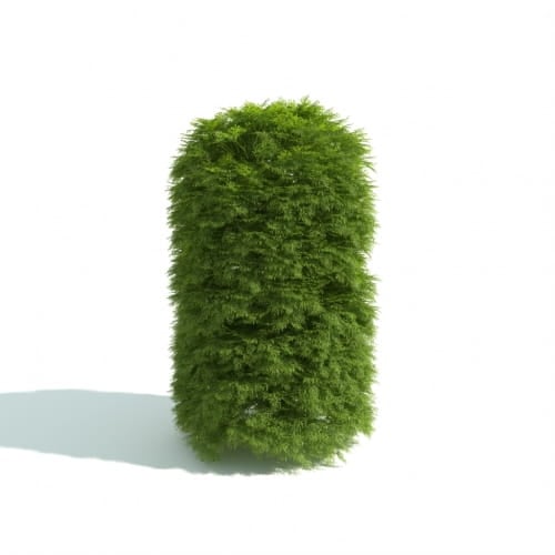 hedge 11 AM192 Archmodels