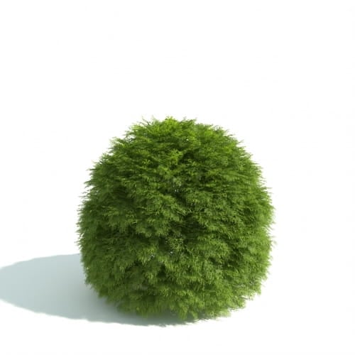 hedge 12 AM192 Archmodels