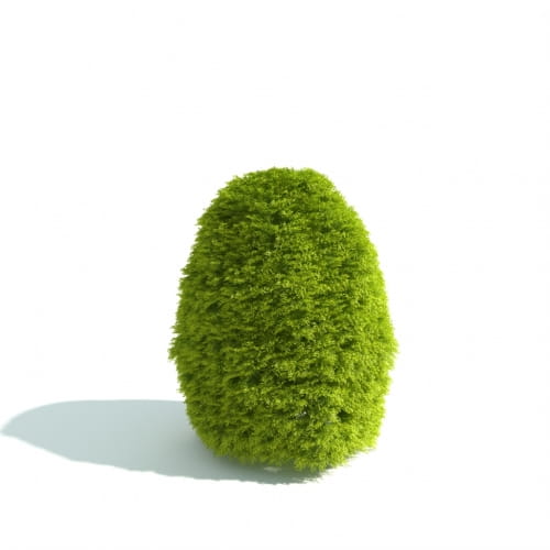 hedge 14 AM192 Archmodels