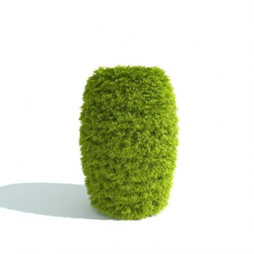 hedge 15 AM192 Archmodels