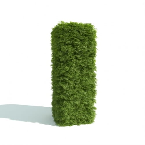 hedge 17 AM192 Archmodels