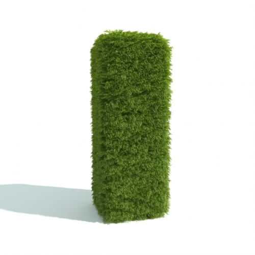 hedge 18 AM192 Archmodels