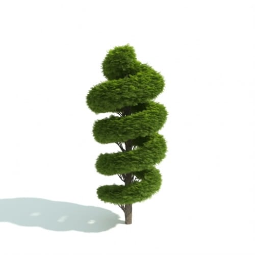 hedge 21 AM192 Archmodels