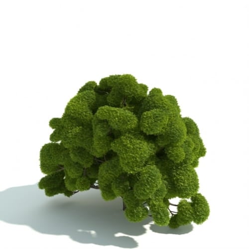 hedge 22 AM192 Archmodels