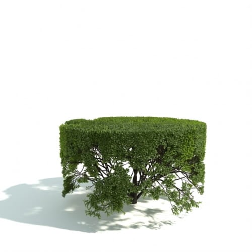 hedge 26 AM192 Archmodels