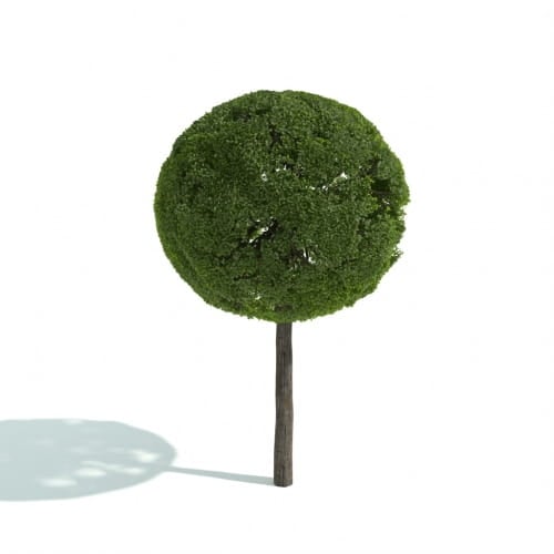 hedge 30 AM192 Archmodels