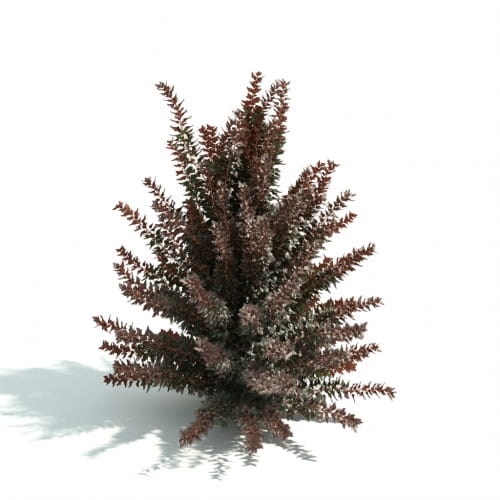 hedge 41 AM192 Archmodels
