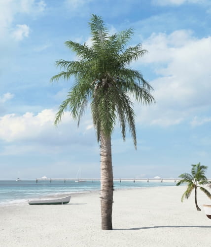palm tree 23 AM201 Archmodels